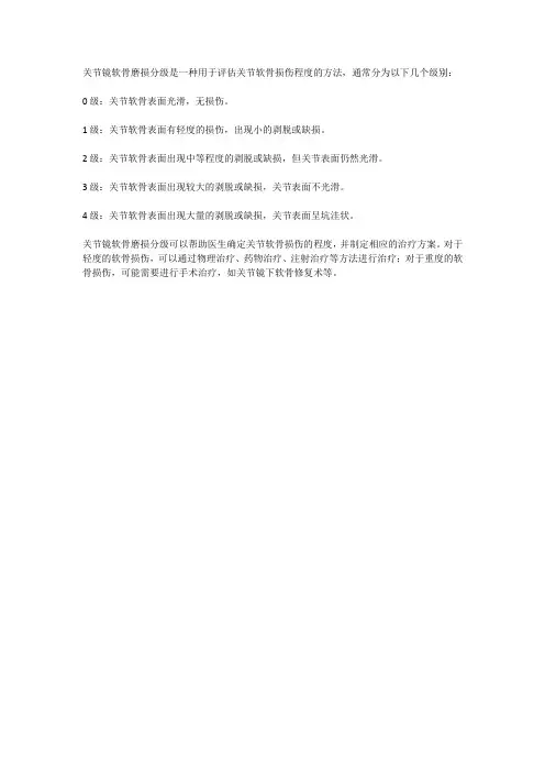 关节镜软骨磨损分级