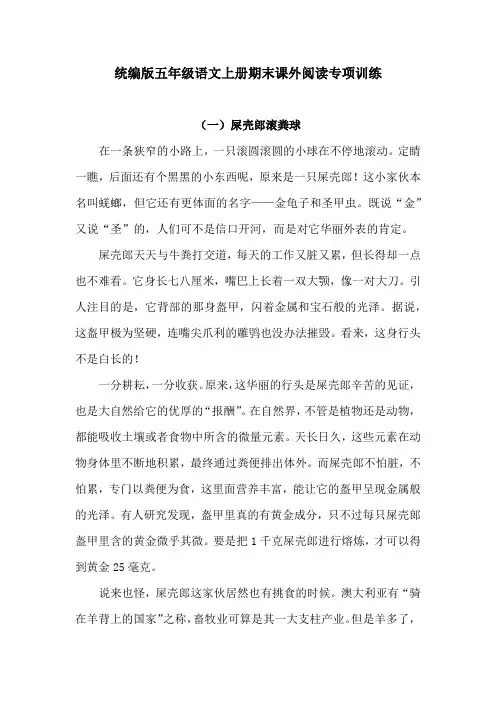 五年级上册语文期末课外阅读专项训练(含答案)(二)人教统编版
