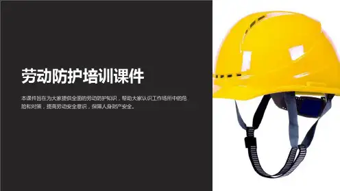 劳动防护培训课件