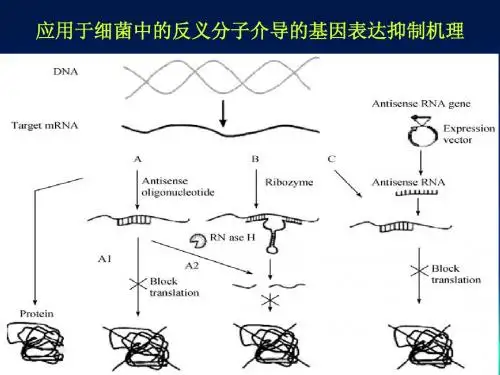 反义药物