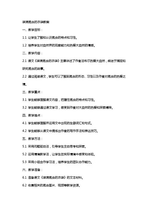 装满昆虫的衣袋教案
