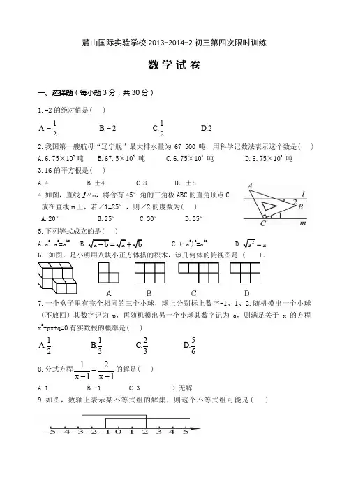 长沙市麓山国际实验学校初三第四次月考试卷含答案.doc