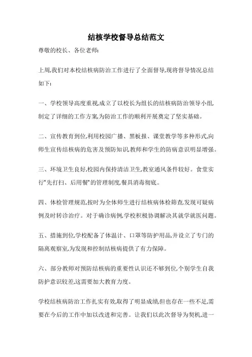 结核学校督导总结范文