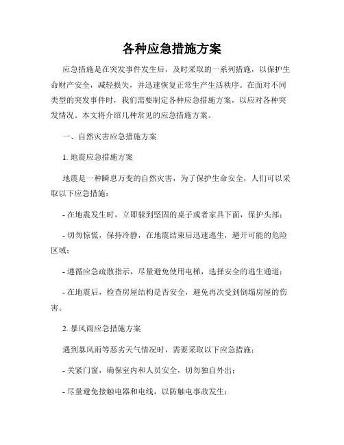 各种应急措施方案