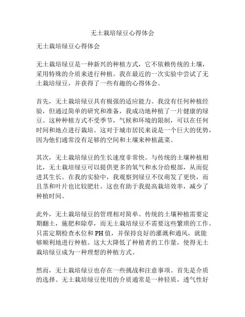 无土栽培绿豆心得体会