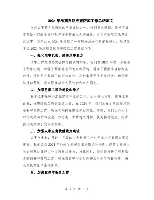 2024年汛期自然灾害防范工作总结范文