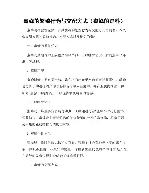 蜜蜂的繁殖行为与交配方式(蜜蜂的资料)
