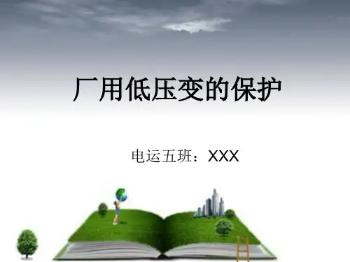 厂用低压变的保护-站用变-干式变压器的保护课件