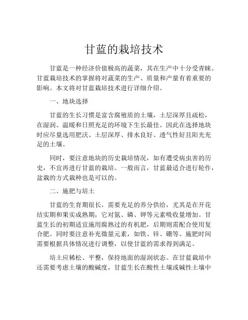 甘蓝的栽培技术