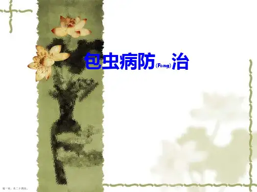 包虫病的防治优质ppt