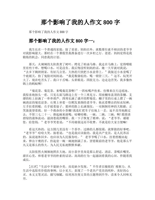 那个影响了我的人作文800字