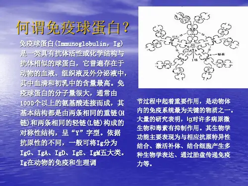 免疫球蛋白的制备方法及在畜禽生产中的应用
