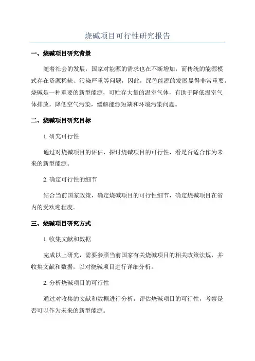 烧碱项目可行性研究报告