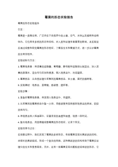霉菌的形态实验报告