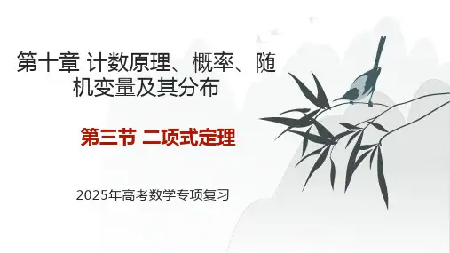 二项式定理 2025年高考数学基础专项复习