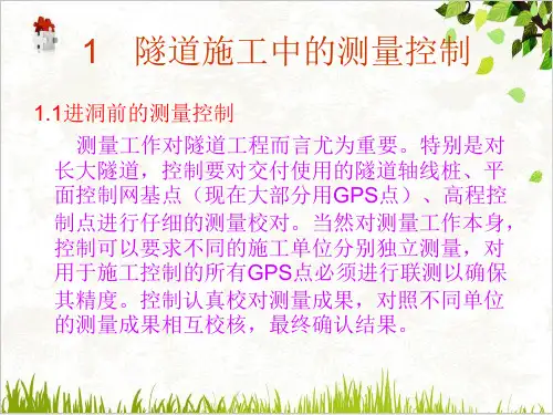 隧道控制要点PPT.