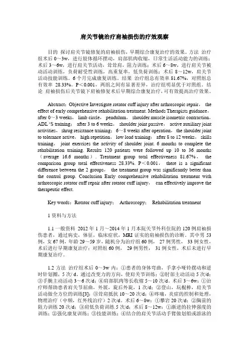 肩关节镜治疗肩袖损伤的疗效观察