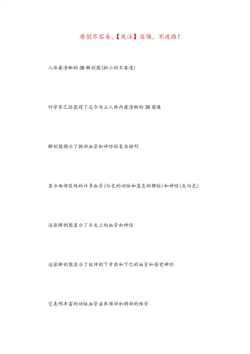 人体内脏图(五脏六腑疼痛的位置图)