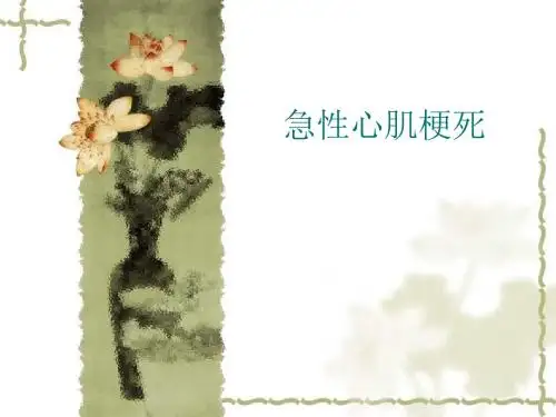 急性心肌梗死-课件(PPT演示)