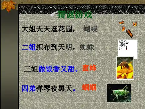 23法布尔《绿色蝈蝈》PPT课件