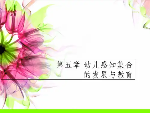 第五章幼儿感知集合的发展与教育ppt课件