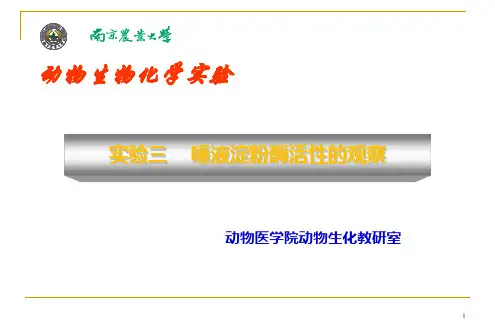 3_唾液淀粉酶活性的观察