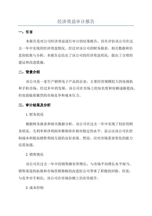 经济效益审计报告