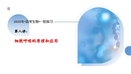 高三一轮复习生物细胞呼吸的原理和应用课件