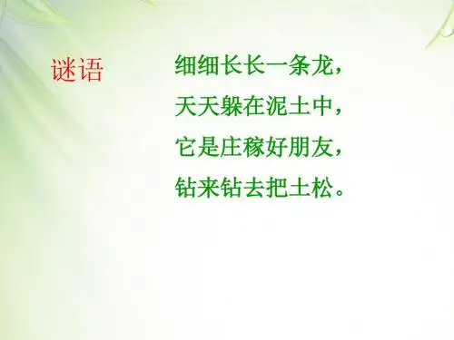 三年级科学  蚯蚓