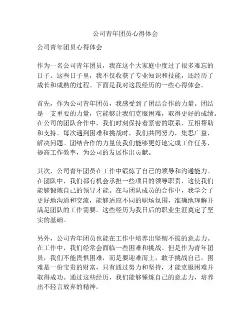 公司青年团员心得体会