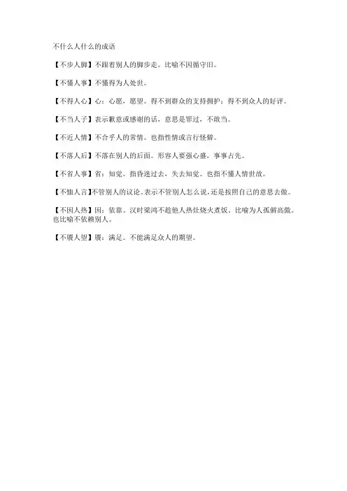 不什么人什么的成语