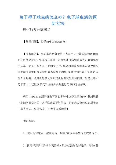 兔子得了球虫病怎么办？兔子球虫病的预防方法