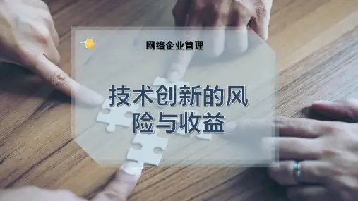 技术创新的风险与收益