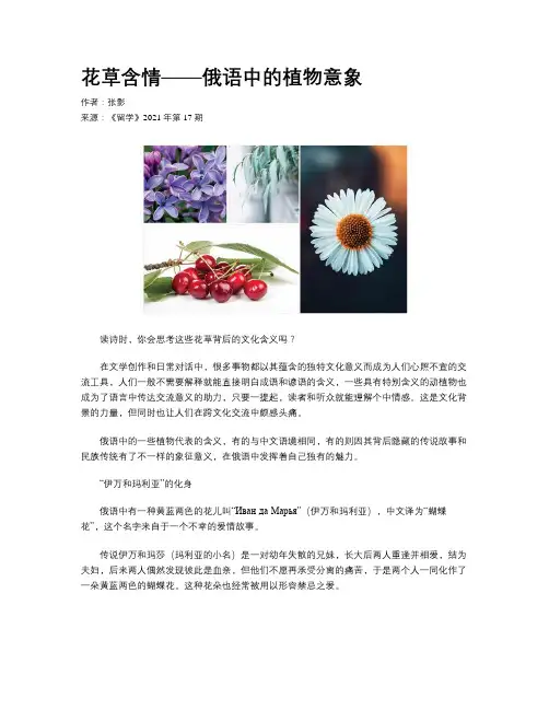 花草含情——俄语中的植物意象