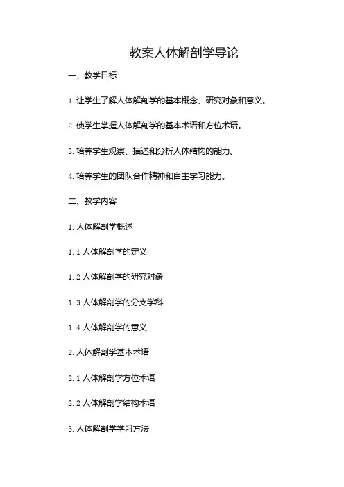 人体解剖学教案
