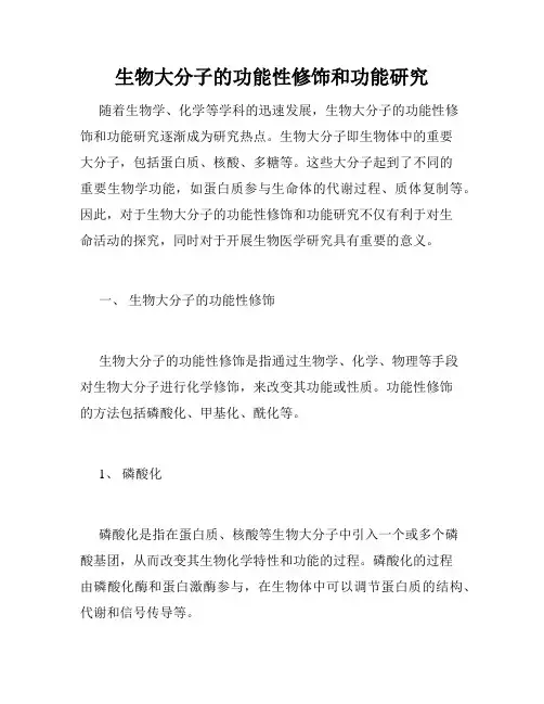 生物大分子的功能性修饰和功能研究