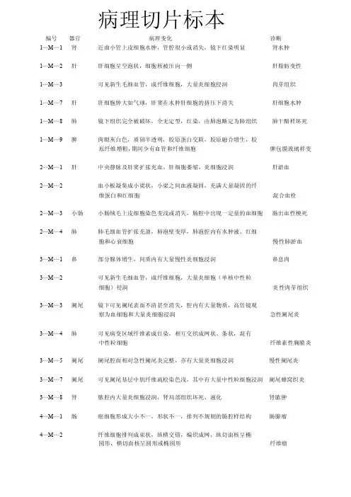 病理实验教学-病理切片标本整理
