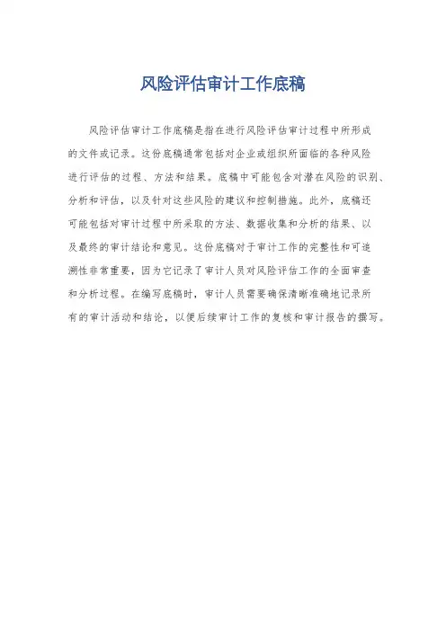 风险评估审计工作底稿