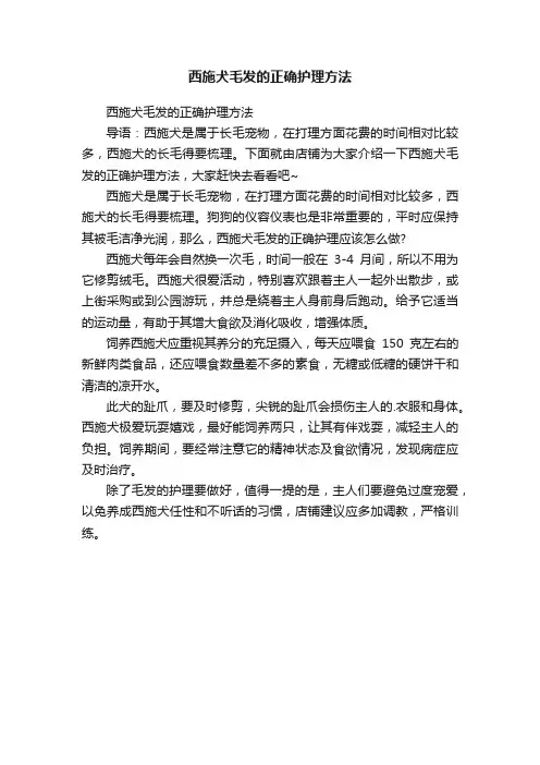 西施犬毛发的正确护理方法
