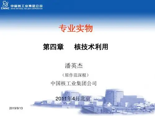 核安全工程师讲稿(四章)