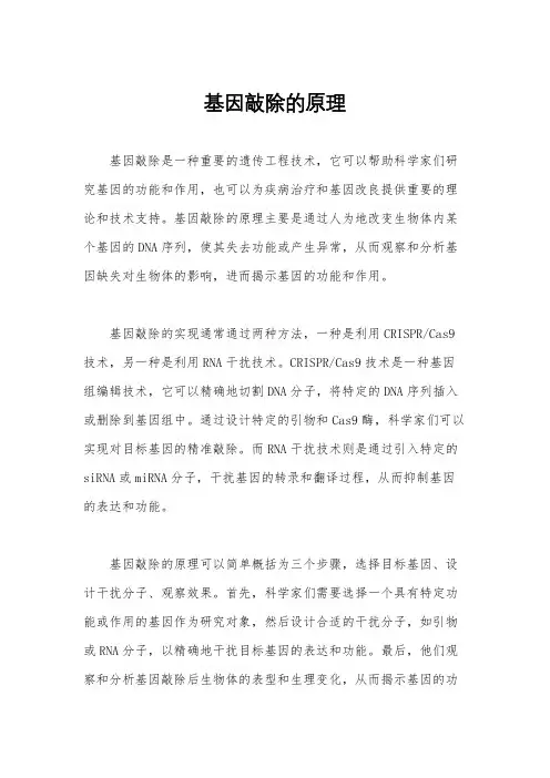 基因敲除的原理