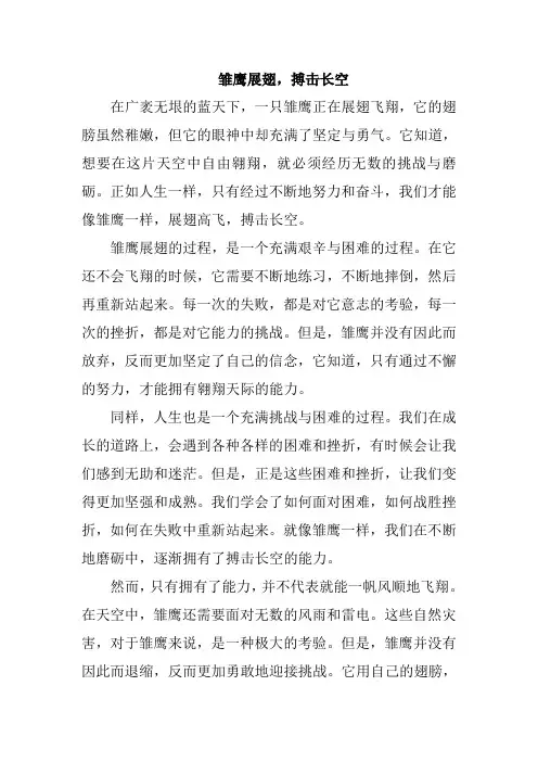 雏鹰展翅,搏击长空