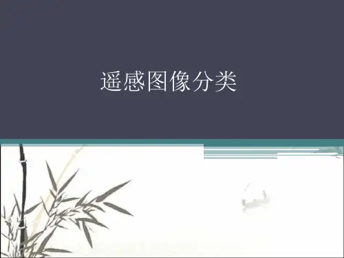 遥感图像分类 PPT