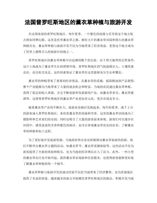 法国普罗旺斯地区的薰衣草种植与旅游开发