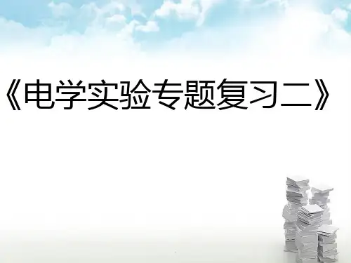 《电学实验专题复习二》PPT课件
