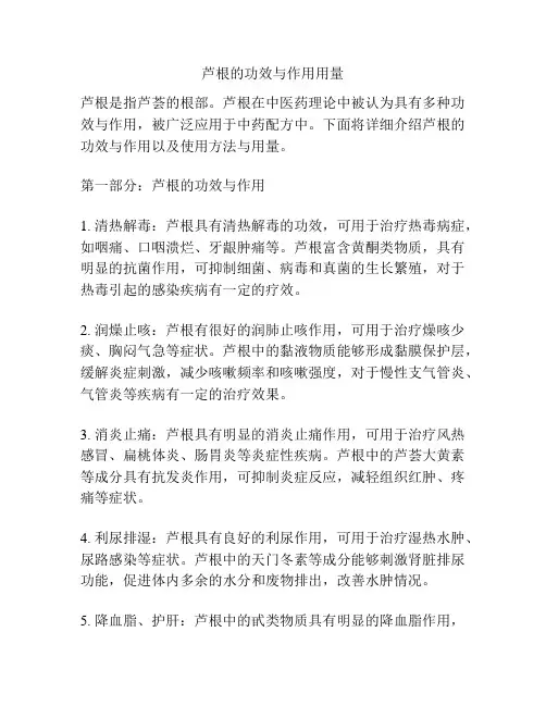 芦根的功效与作用用量