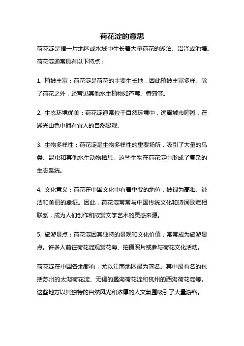荷花淀的意思