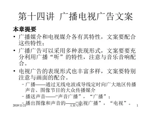 广播电视广告文案013(PPT21页)