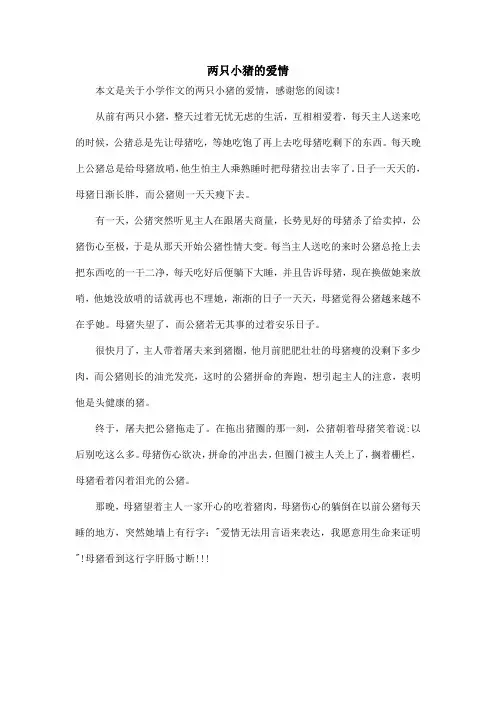 两只小猪的爱情_小学作文