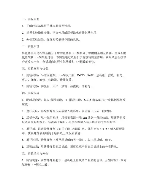 转氨基作业实验报告